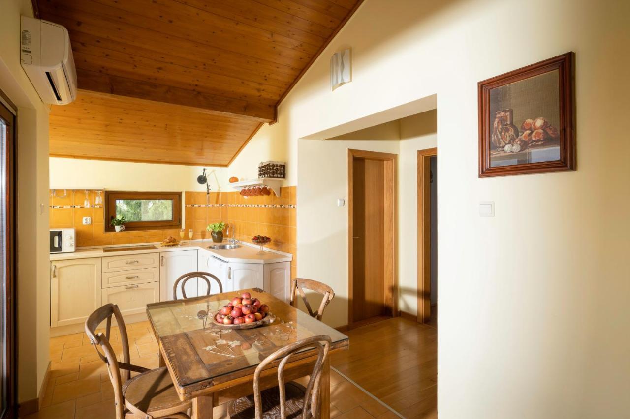 Apartment Villa Ema Krapinske Toplice Ngoại thất bức ảnh