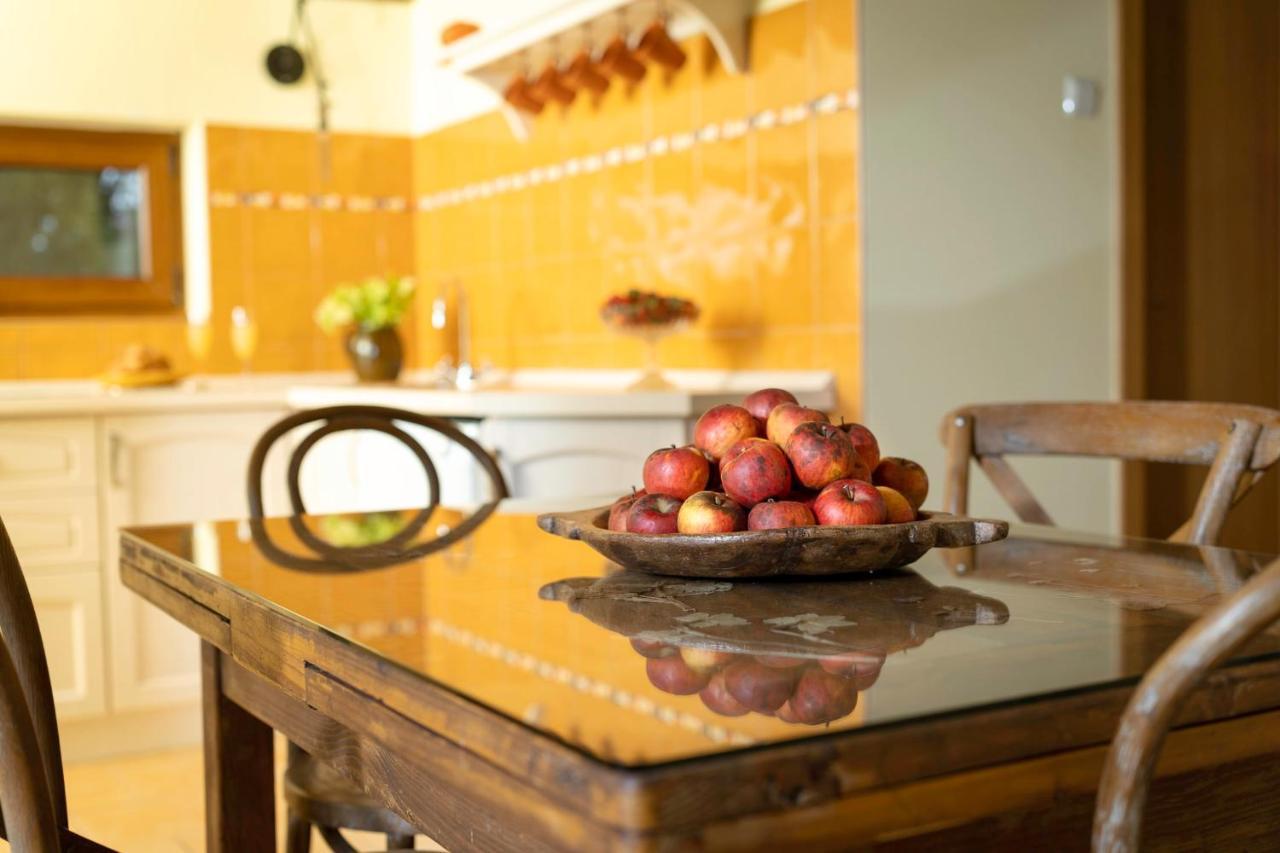 Apartment Villa Ema Krapinske Toplice Ngoại thất bức ảnh